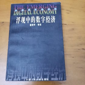 浮现中的数字经济