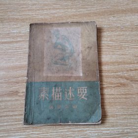 素描述要