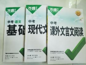 万维中考2023语文（基础题+现代文阅读+课外文言文阅读）