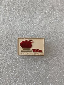 像章纪念章（一月革命胜利万岁 上海工人革命总司令部制）