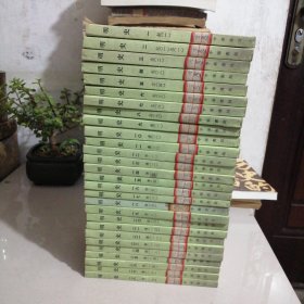 明史（二十八册全，书桌东）