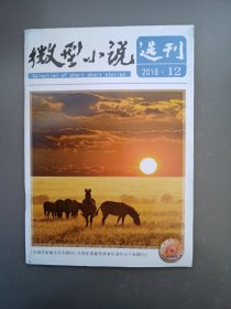 微型小说选刊