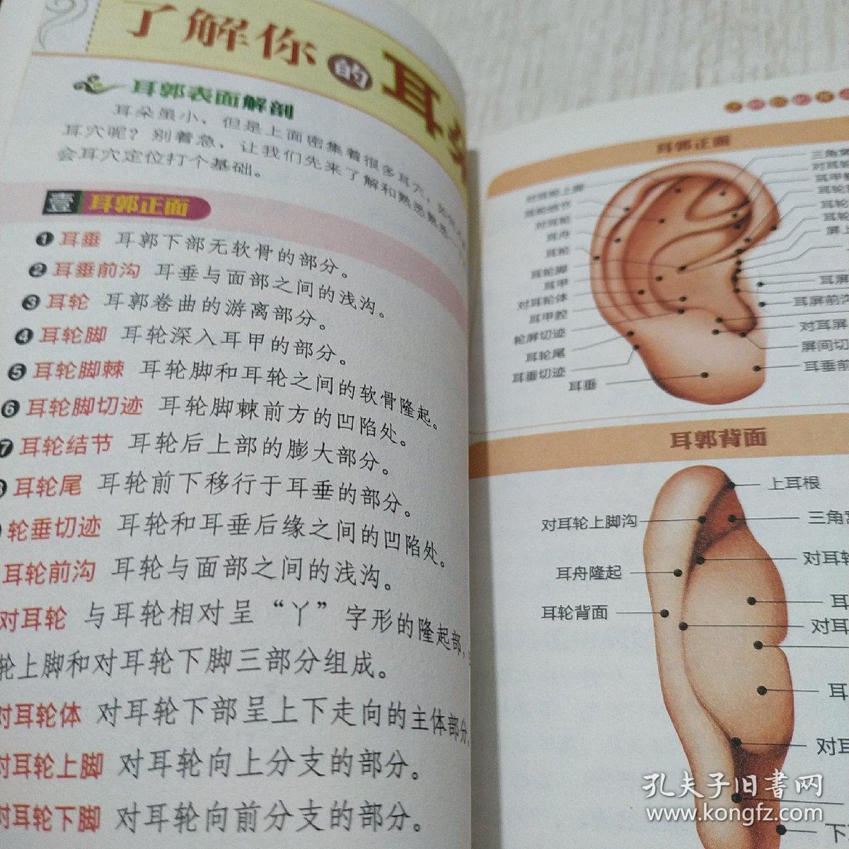 国医绝学健康馆：观耳辨病与耳穴疗法