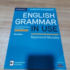 english grammar  in use