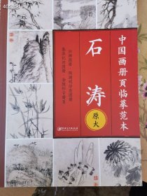 中国画册页临摹范本石涛原价原价45特价28