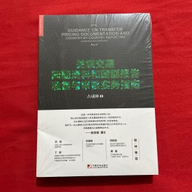 关联交易同期资料与国别报告准备与审核实务指南