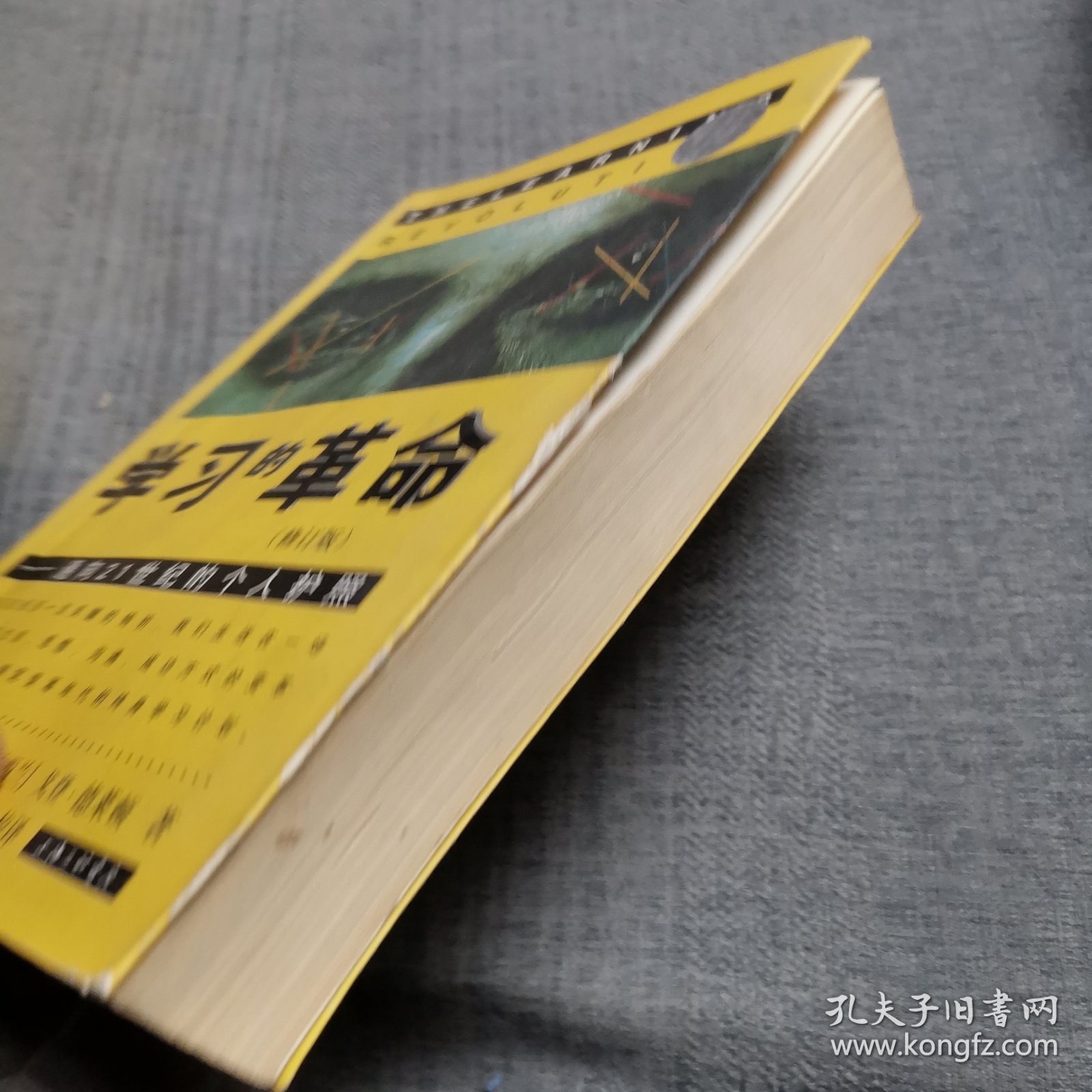 学习的革命：通向21世纪的个人护照