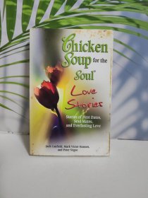 Chicken Soup forte Soul Love Stories 心灵爱情故事鸡汤