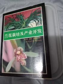兰花栽培及产业开发(多彩色插图)