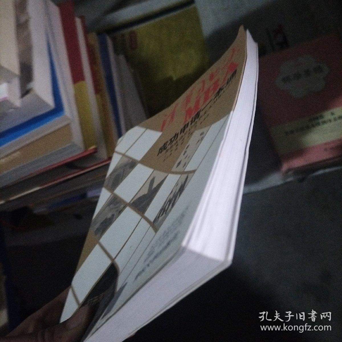 清华北大MBA成功申请一本通：帮你成功开启清华北大MBA之门