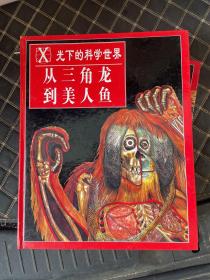X光下的科学世界（全套8册 无外盒）《苍蝇到鲸鱼》《从摩托车到航天飞机》《从头发到脚趾》《从自由女神像到艾菲尔铁塔》《从手表到计算机》《从恐龙的出现到灭亡》《从金字塔到紫金城》《从三角龙到美人鱼》