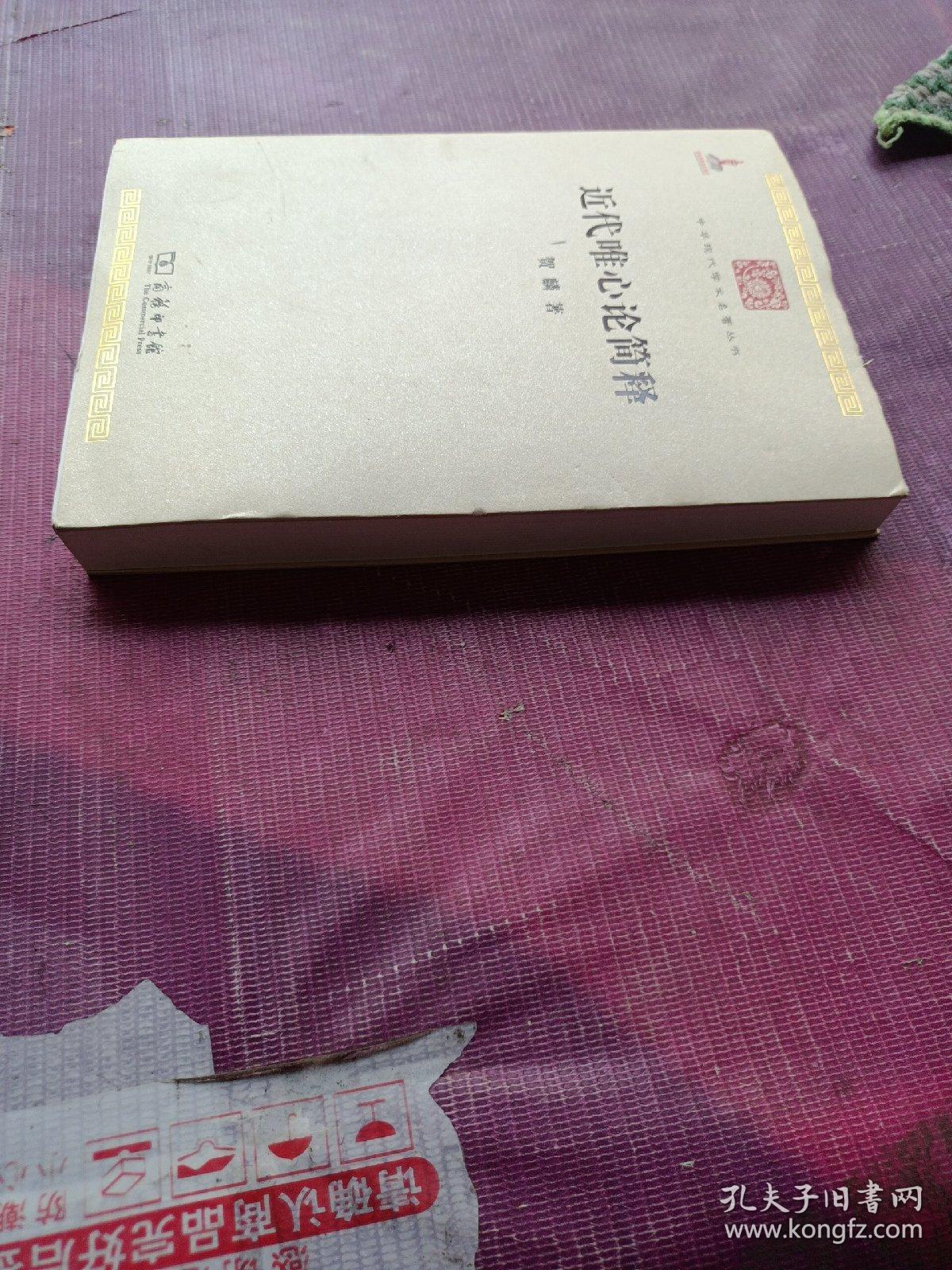 中华现代学术名著丛书：近代唯心论简释