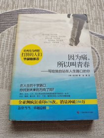 因为痛，所以叫青春：写给独自站在人生路口的你