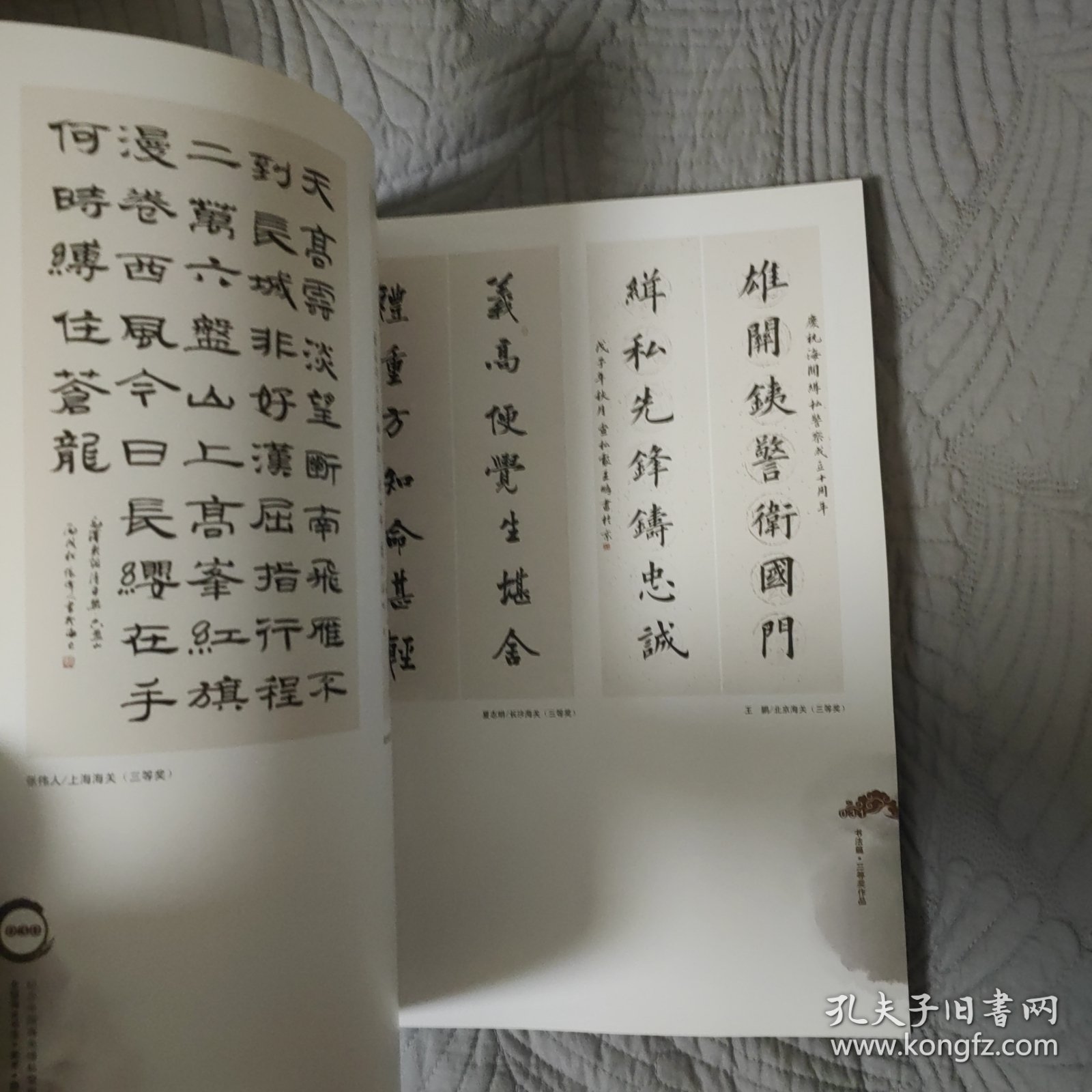 纪念中国海关缉私警察成立10周年全国海关书法美术摄影大赛获奖作品集