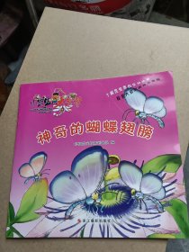 小昆虫大智慧.神奇的蝴蝶翅膀
