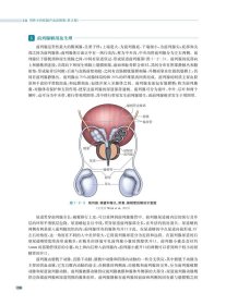 男性不育症超声动态图鉴（第2版） 9787313261694 李凤华，杜晶 主编 上海交通大学出版社