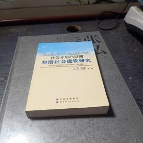 社会矛盾凸显期和谐社会建设研究