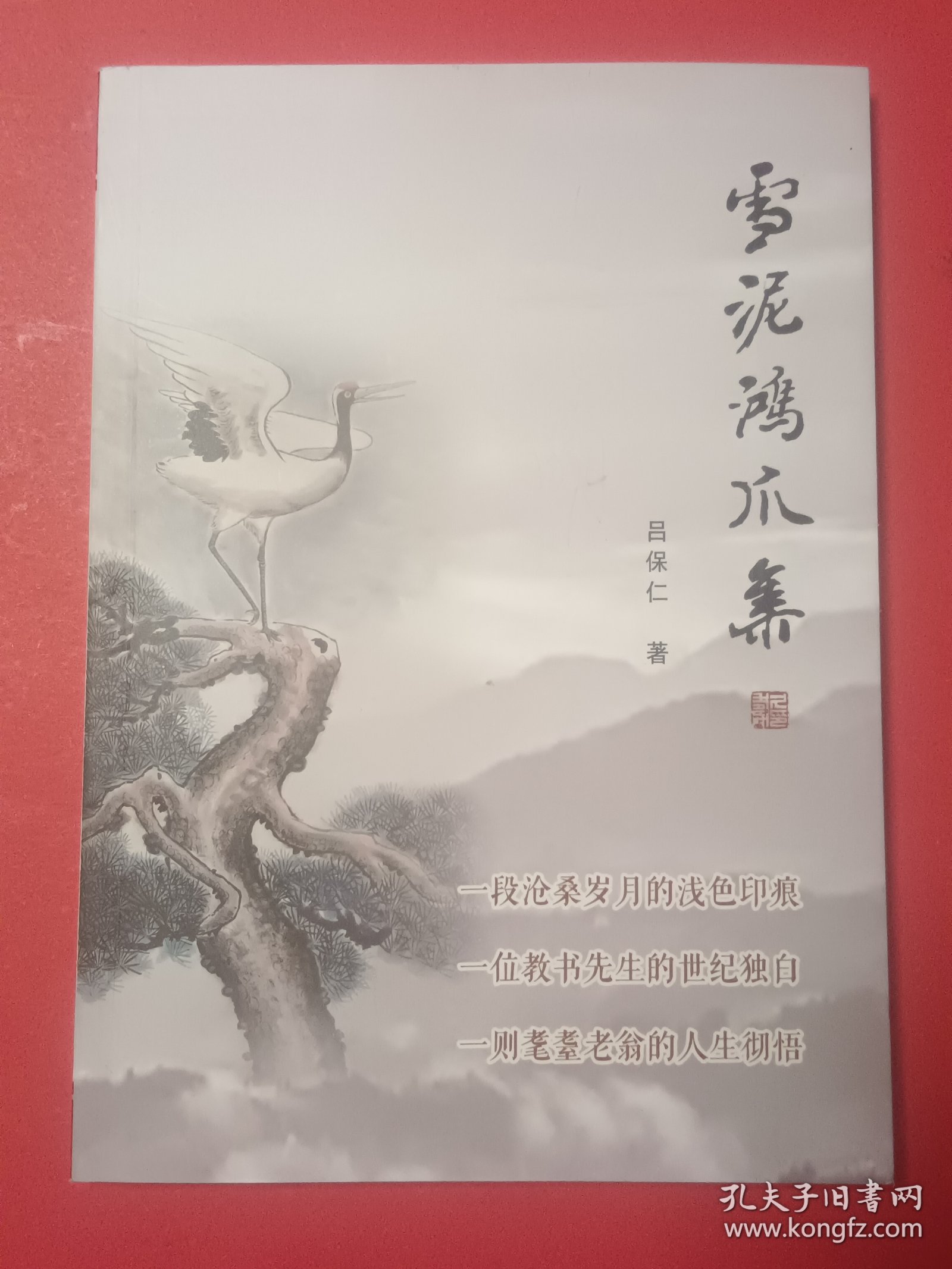 雪泥鸿爪鑫