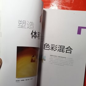 西方绘画技法经典教程·油画创作技法