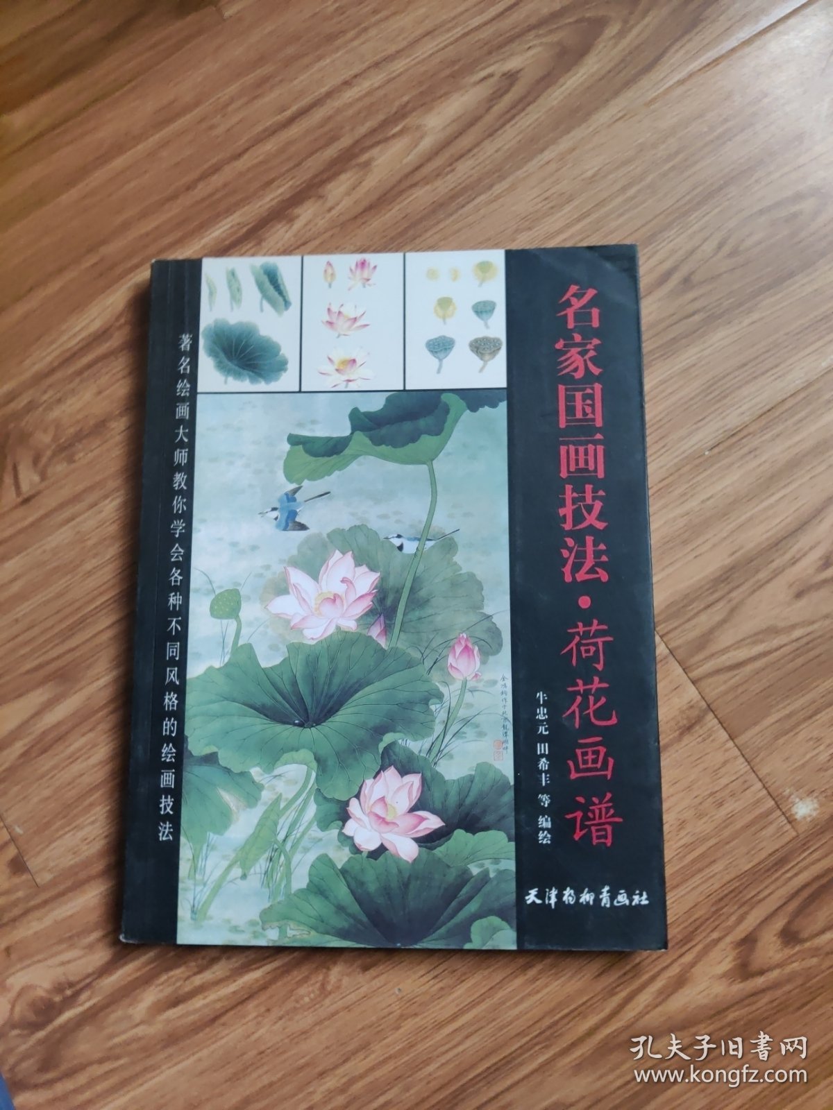 名家国画技法 荷花画谱