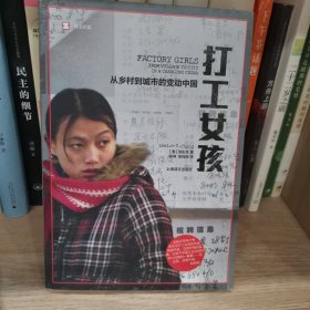 打工女孩：从乡村到城市的变动中国