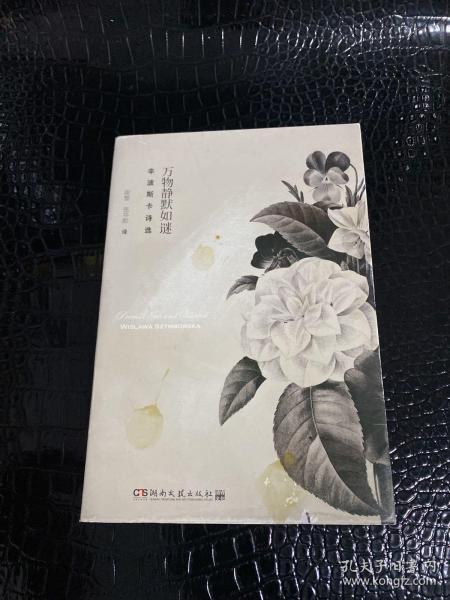 万物静默如谜：辛波斯卡诗选