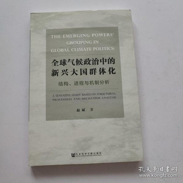 全球气候政治中的新兴大国群体化——结构、进程与机制分析