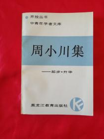 周小川集（开放丛书中青年学者文库）