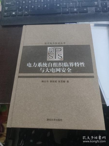 电力系统自组织临界特性与大电网安全