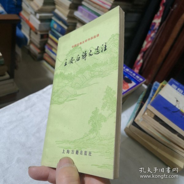 王安石诗文选注：中国古典文学作品选读