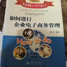 职业经理人十万个为什么：如何进行企业电子商务管理