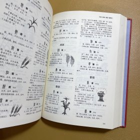 说文解字详解（耀世典藏版）