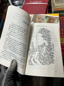漫话大宗山朗公寺