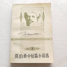 莫泊桑中短篇小说选 （上）