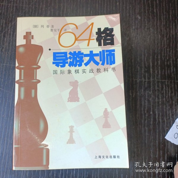 64格导游大师:国际象棋实战教科书