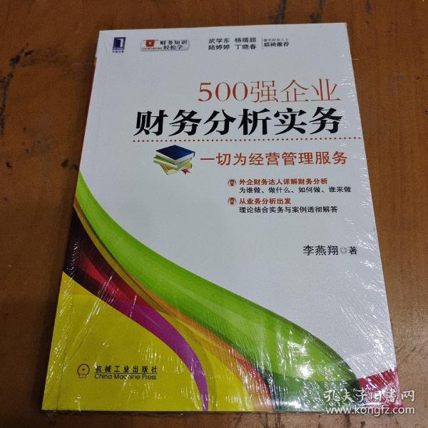 500强企业财务分析实务：一切为经营管理服务