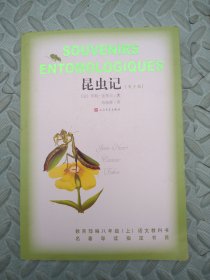 昆虫记（青少版）