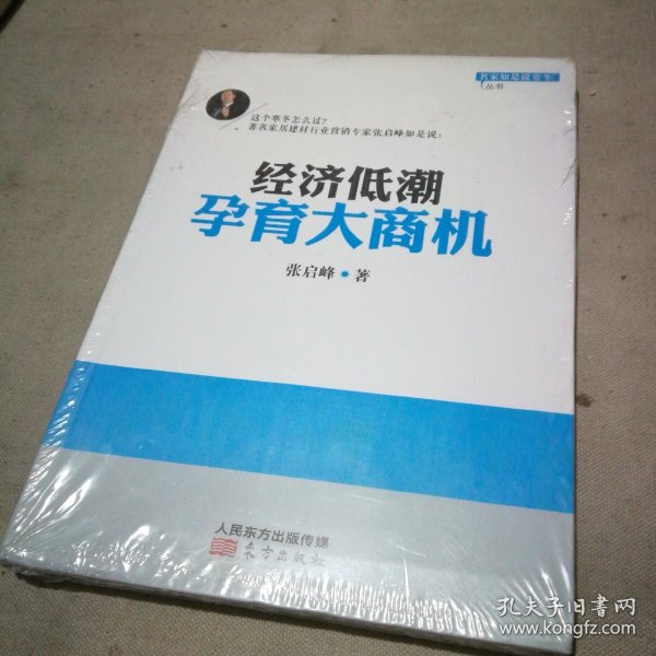 名家如是说寒冬丛书：经济低潮孕育大商机