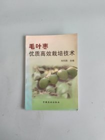 毛叶枣优质高效栽培技术