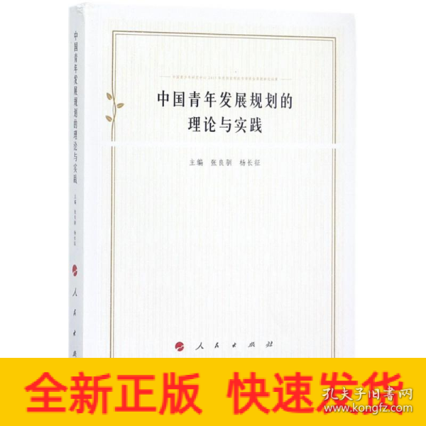 中国青年发展规划的理论与实践