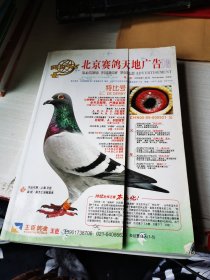 北京赛鸽天地广告2009年3月 八十期
