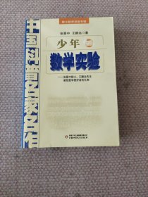 中国科普名家名作 院士数学讲座专辑-少年数学实验