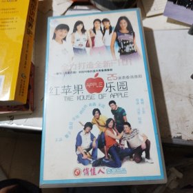 红苹果乐园 25集青春偶像剧，25碟DVD中文字幕版，