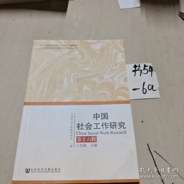 中国社会工作研究 第十六辑