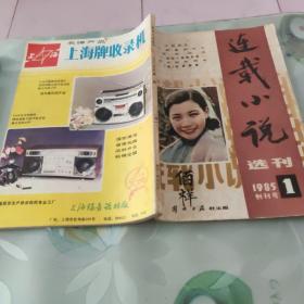 连载小说选刊