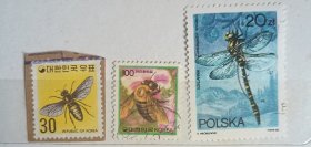 波兰、韩国邮票蜜蜂蜻蜓旧三枚 外国邮票（零售区邮票十件包邮）
