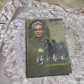 野火春风.文化大革命中的李英儒