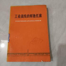 工业战线的鲜艳红旗--大庆油田代表在全国工业学大庆会议上的发言汇编