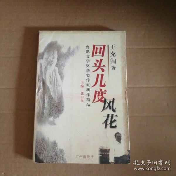 鲁迅文学奖获奖作家新作精品：微尘中的金屑