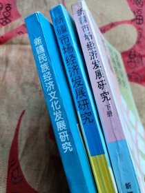 新疆民族经济文化、新疆市场经济发展研究(上下册)三本合售